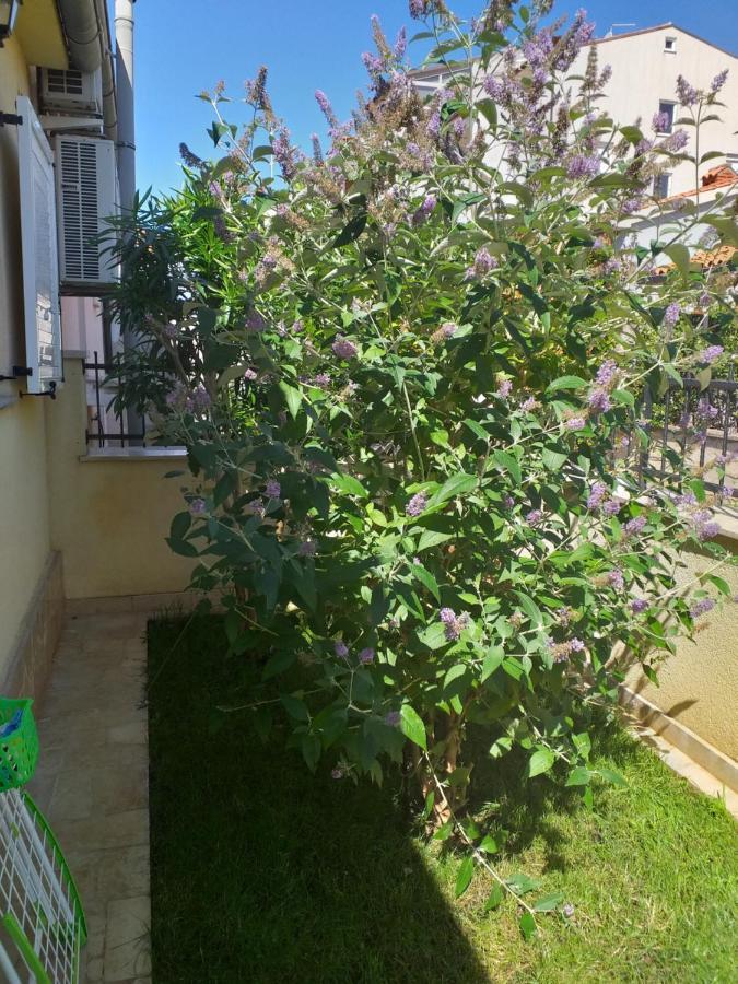 Apartman Vida Pula Extérieur photo