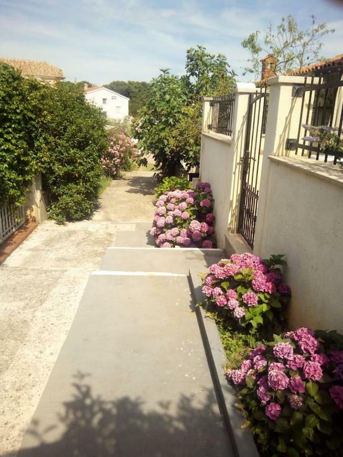 Apartman Vida Pula Extérieur photo